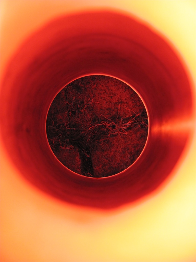 2010-08-17 um 10-04-08