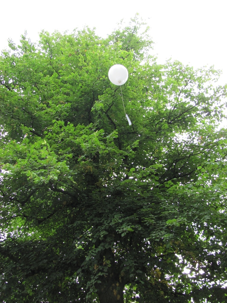 2010-08-17 um 10-11-27