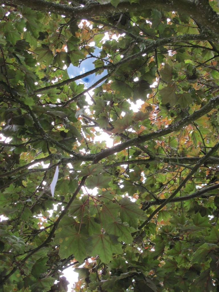 2010-08-17 um 10-11-45